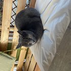Sebastian